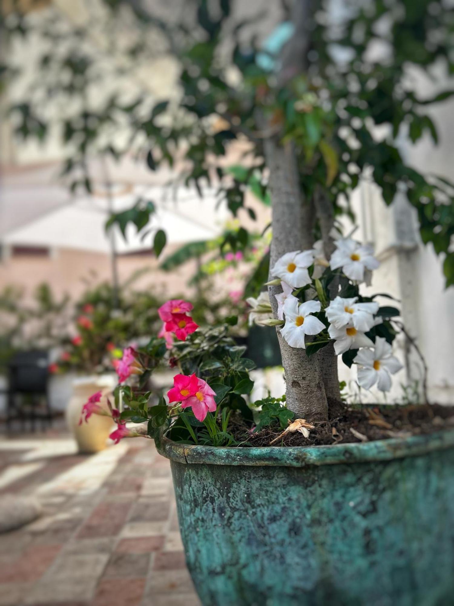 La Maison Derriere Tropea Εξωτερικό φωτογραφία